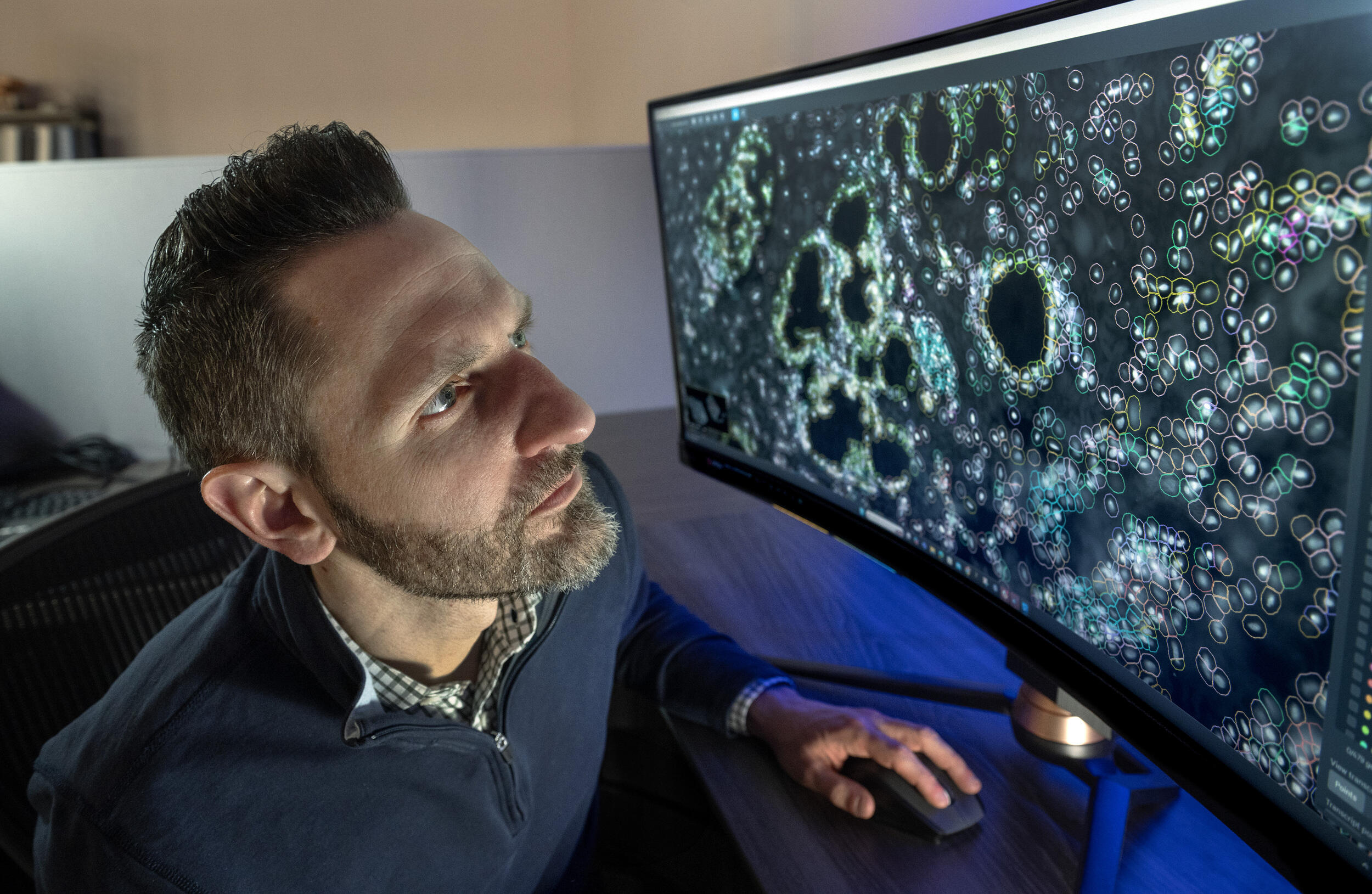 A man studies a large computer screen filled with cells.