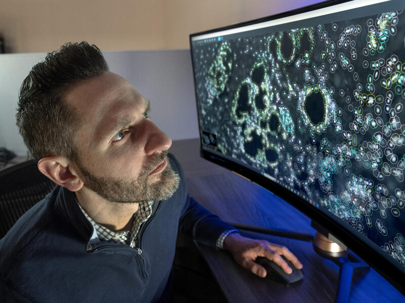 A man studies a large computer screen filled with cells.