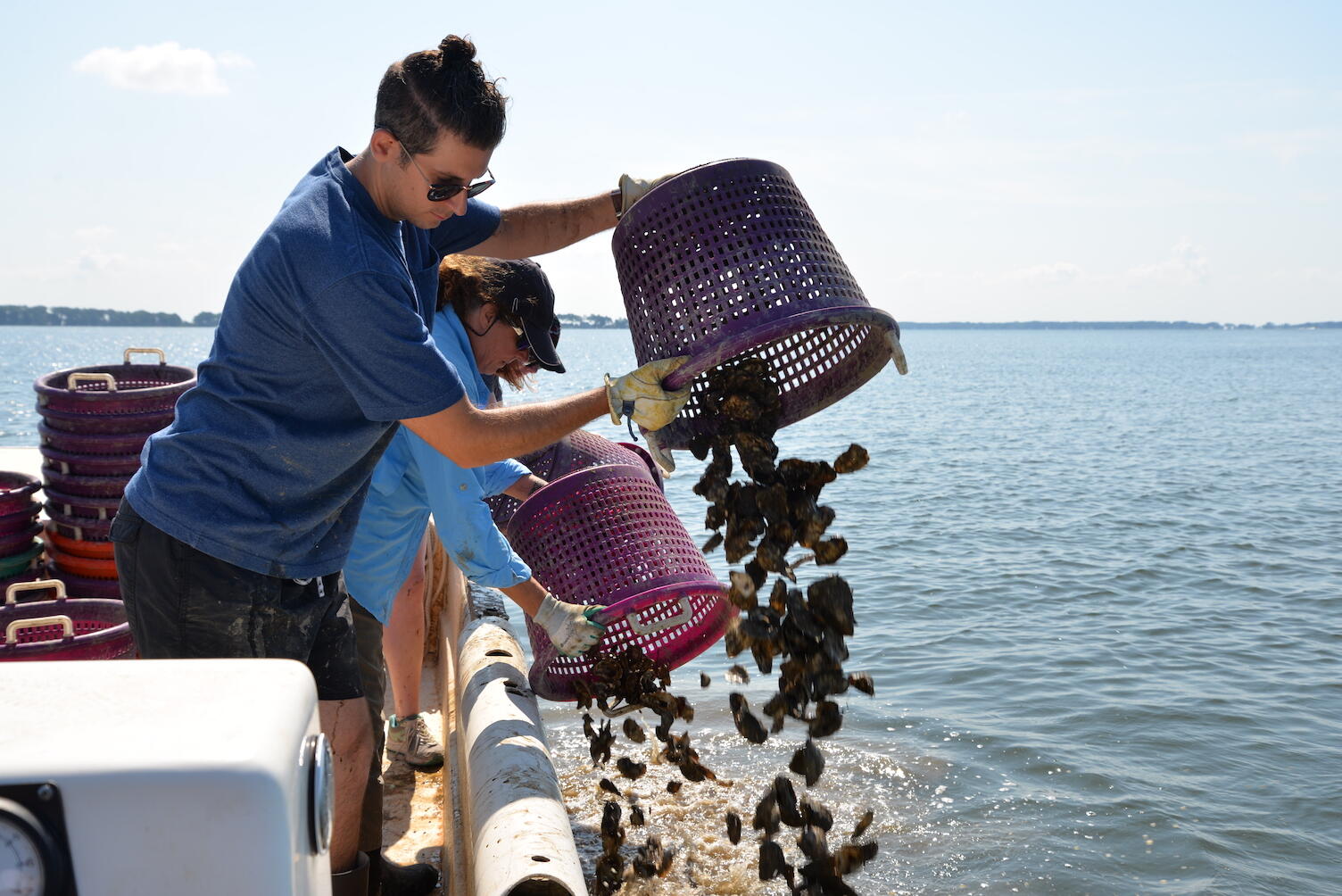 Volunteers on a boat dump oyster shells into a river.