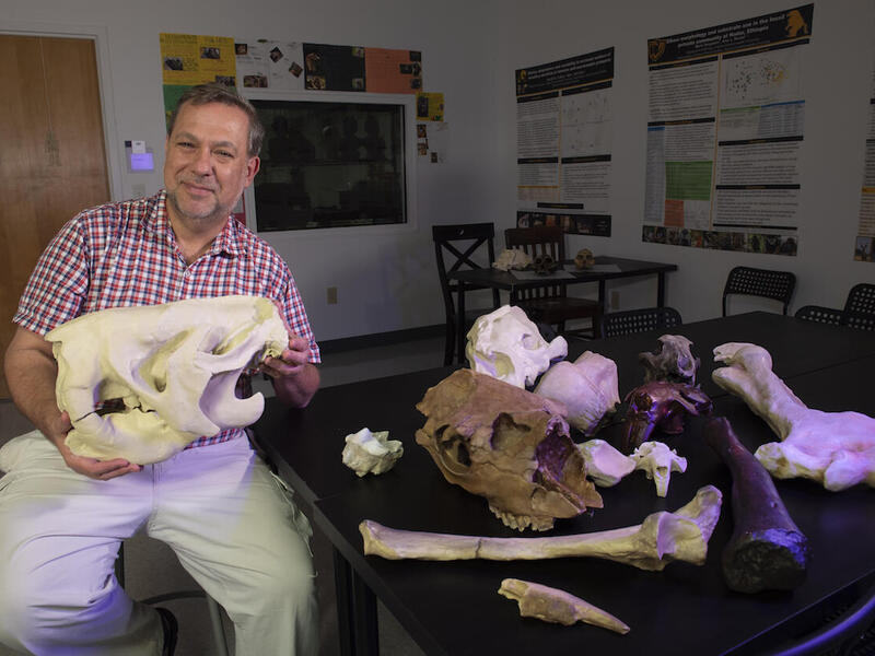 Bernard Means with a 3D-printed ground sloth skull inside of a laboratory.
