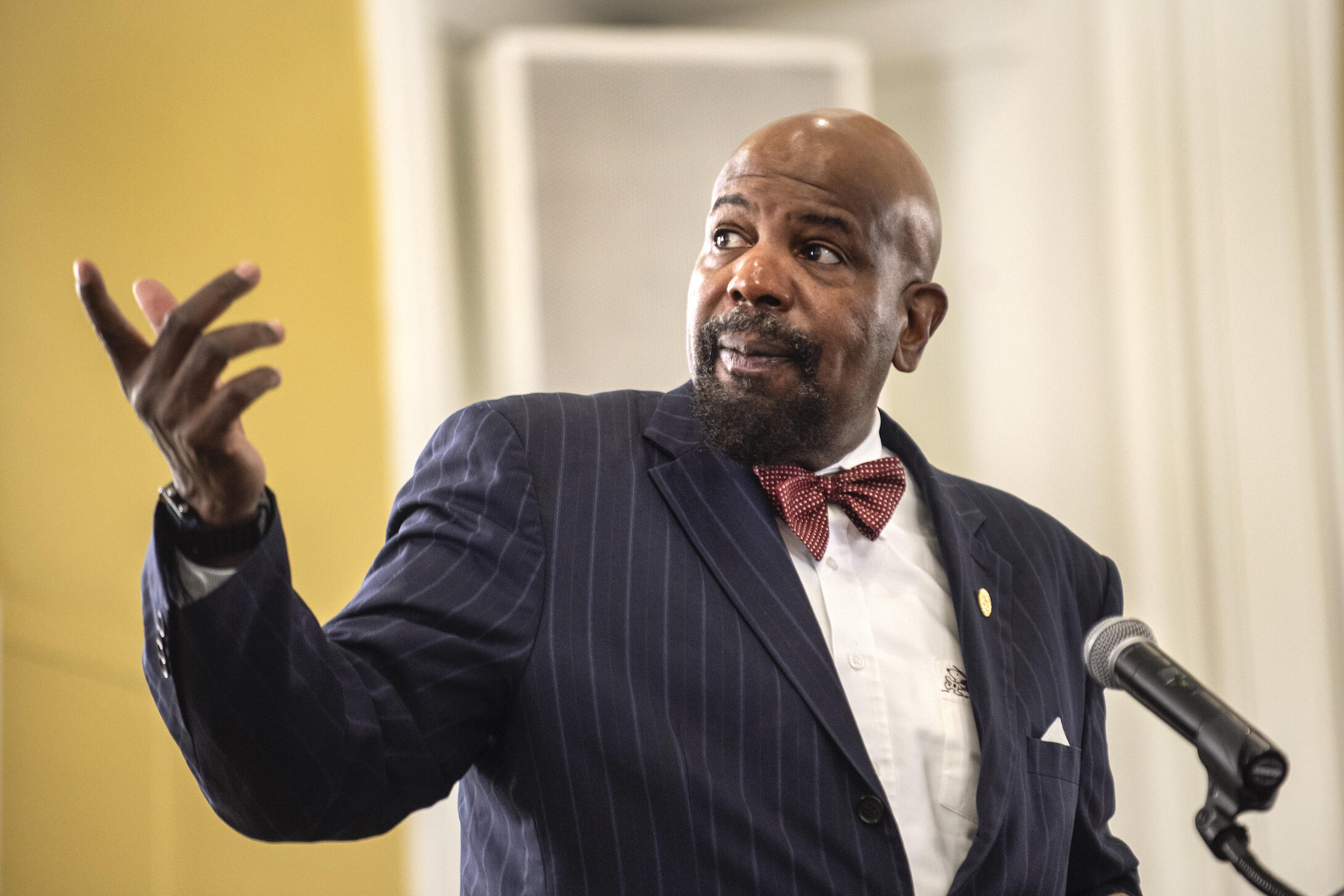 Cato Laurencin speaking at a conference.