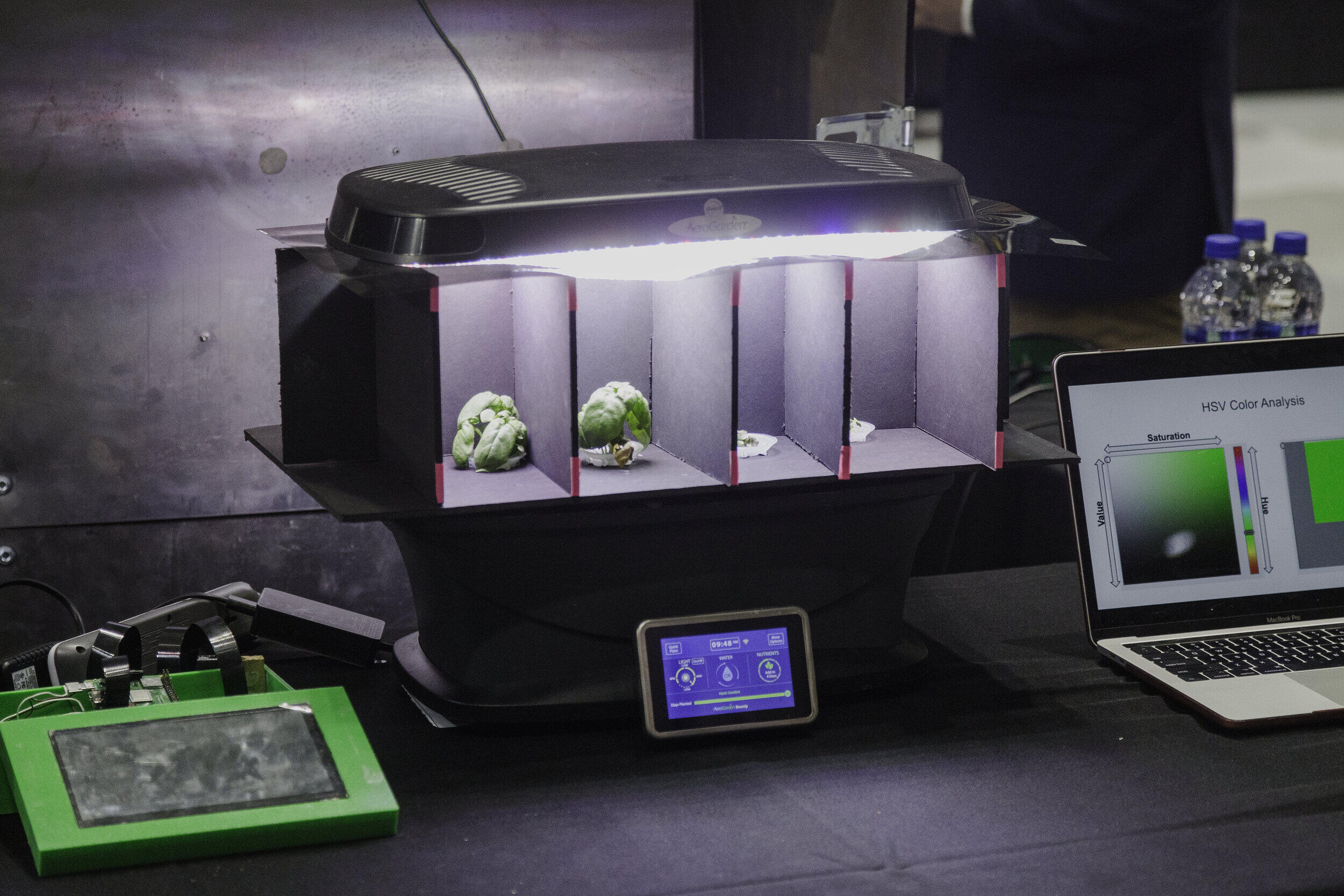 A lit up box with four sections, the left two of which have small plants with leaves 