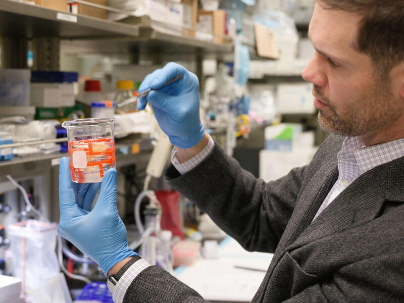 A man in blue safety gloves works in a lab.