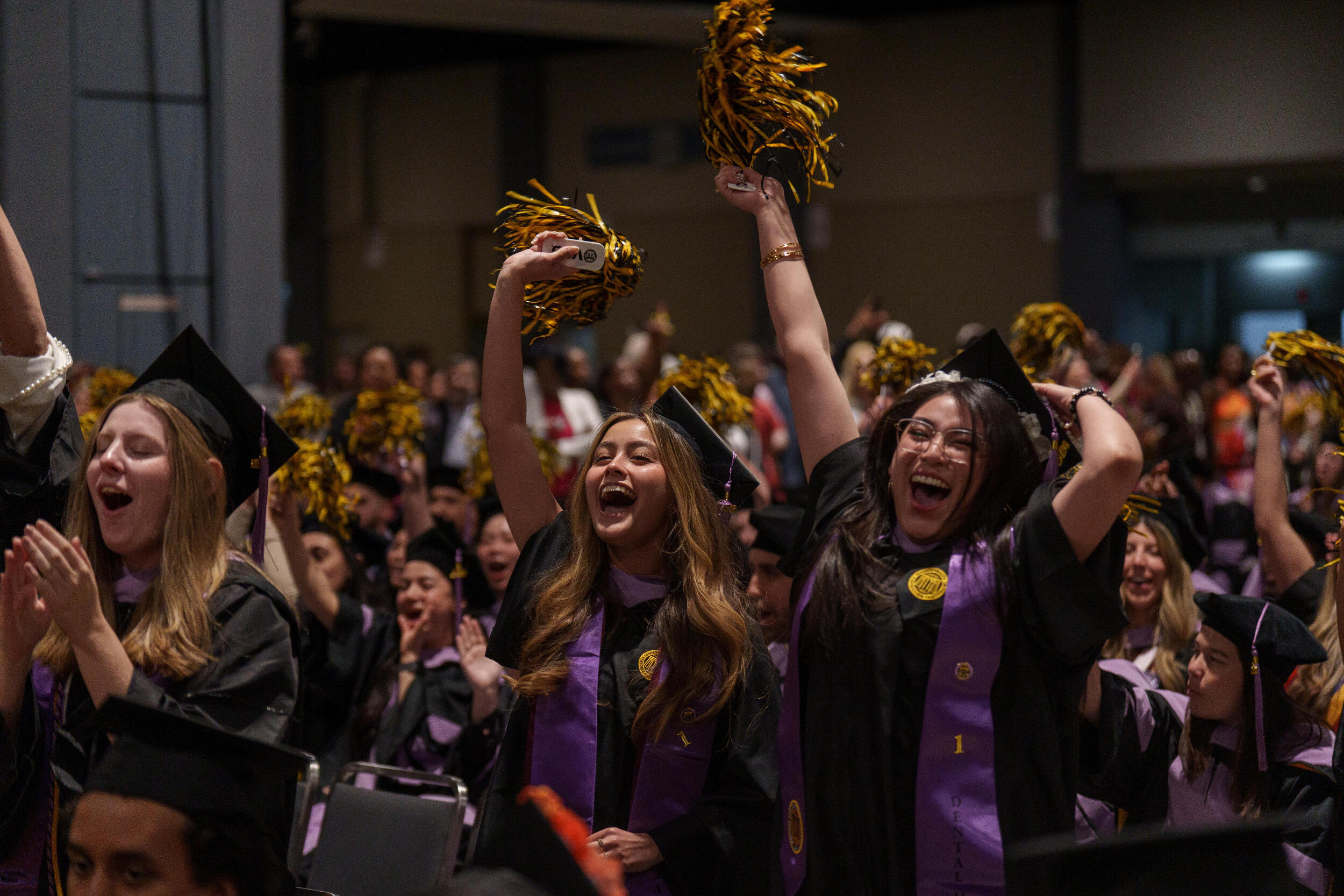 People in caps and gowns stand, cheer and wave black and yellow pom poms.