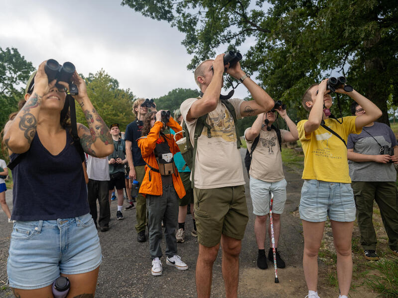 A photo of a group of poeple holding binoculars up to their face and looking upwards. Behind the group are trees. 