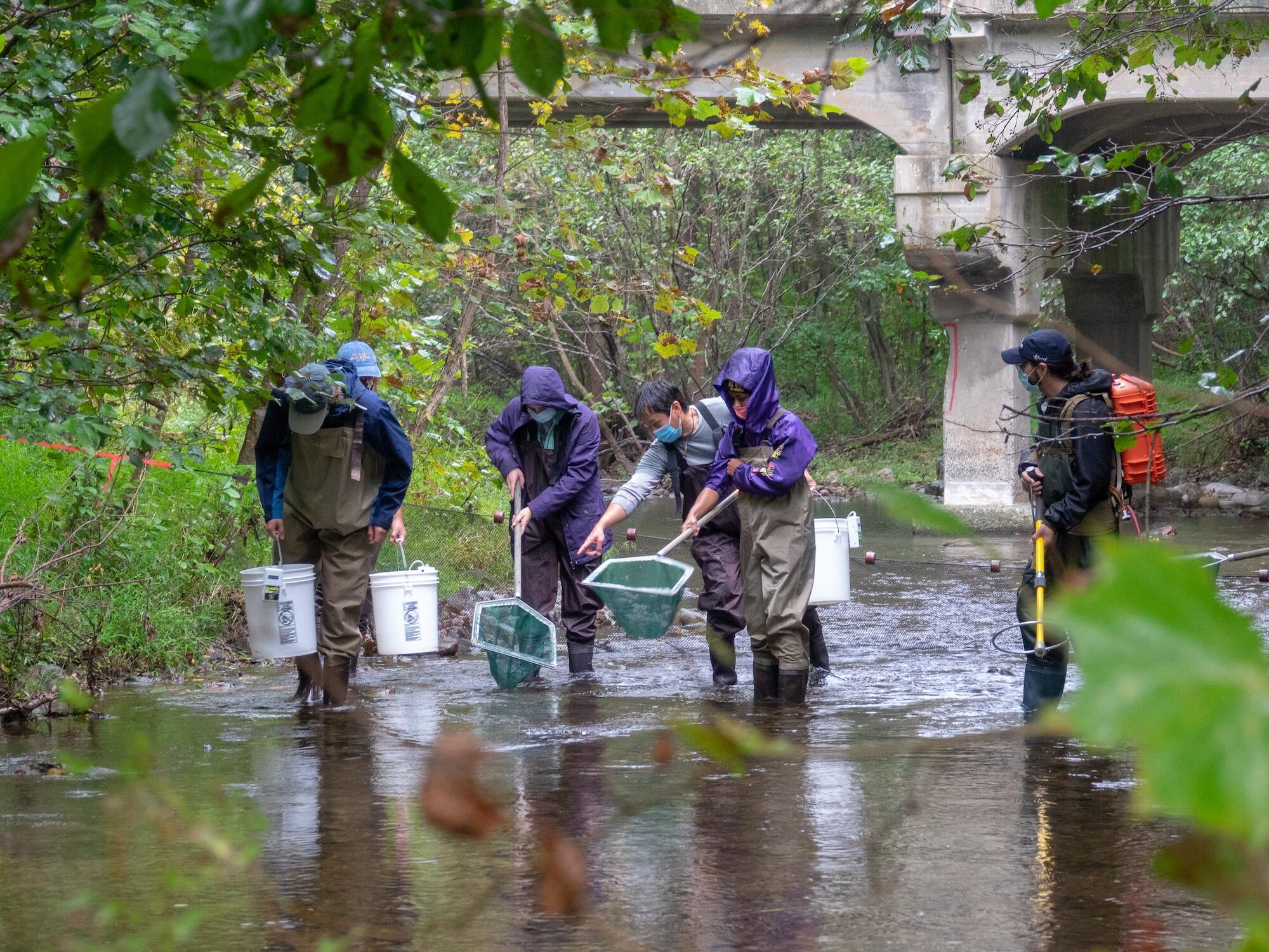 Students take samples in the James River.