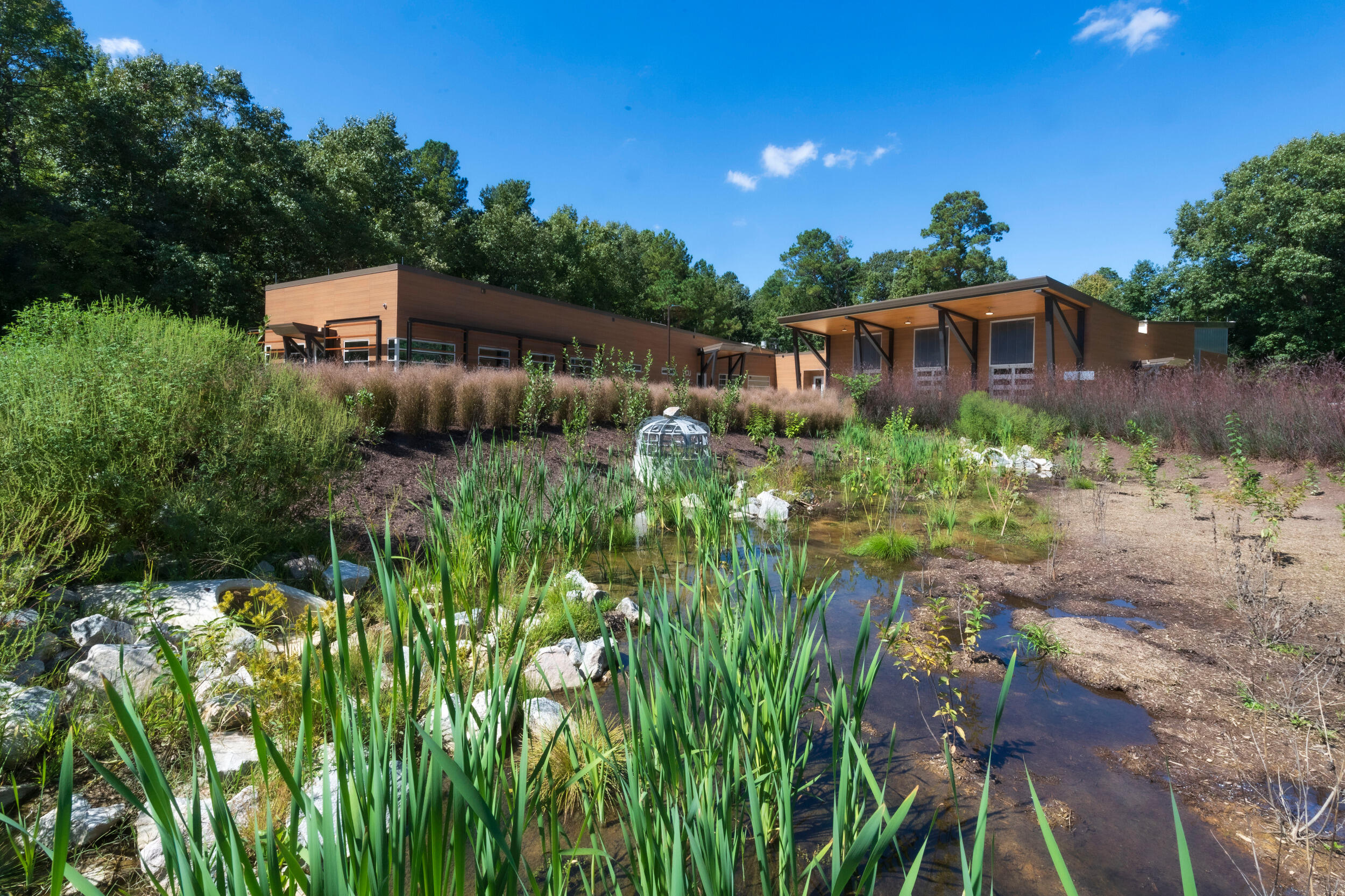Exterior photo of the Rice Rivers Center Research Facility building. A small wetland area is in the foreground.
